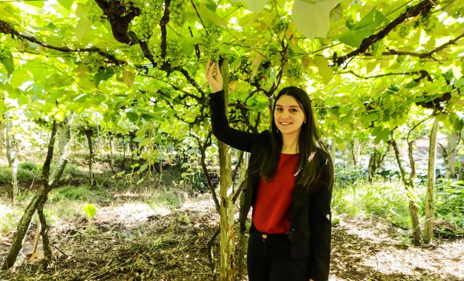 Série Inverno no Paraná - Vinhos