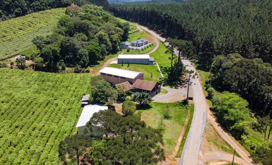 Série Inverno no Paraná - Vinhos