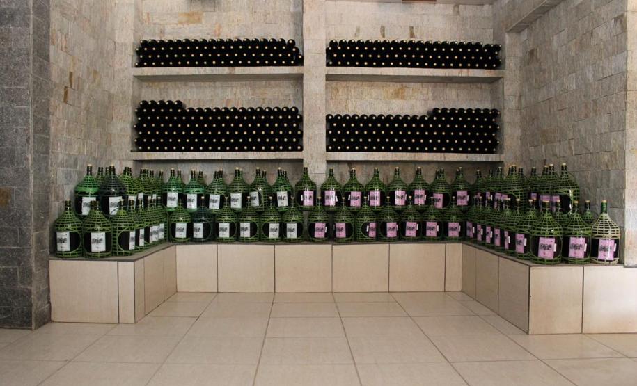 Série Inverno no Paraná - Vinhos
