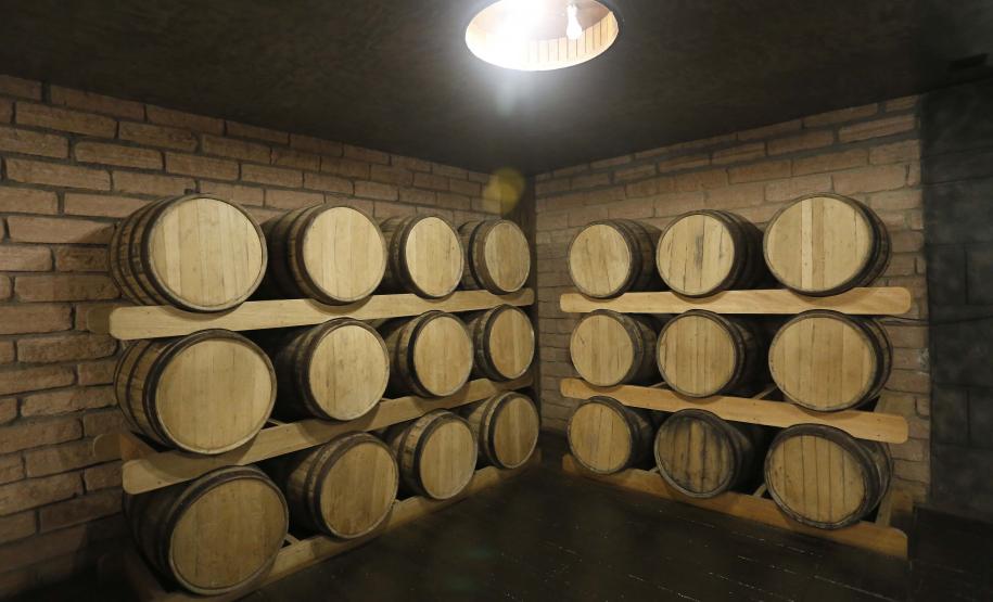 Série Inverno no Paraná - Vinhos