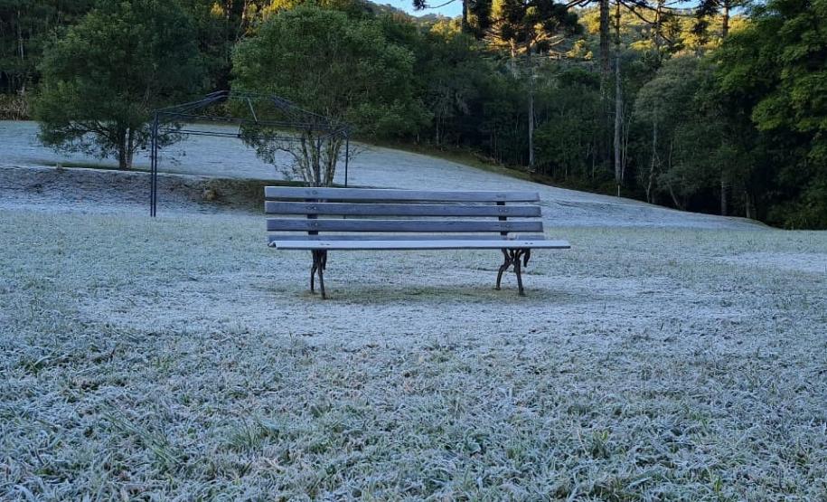 Série Inverno no Paraná - Vinhos