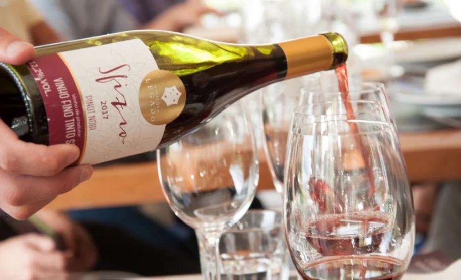 Série Inverno no Paraná - Vinhos