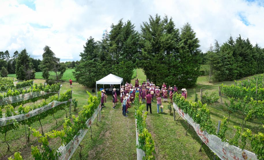 Série Inverno no Paraná - Vinhos