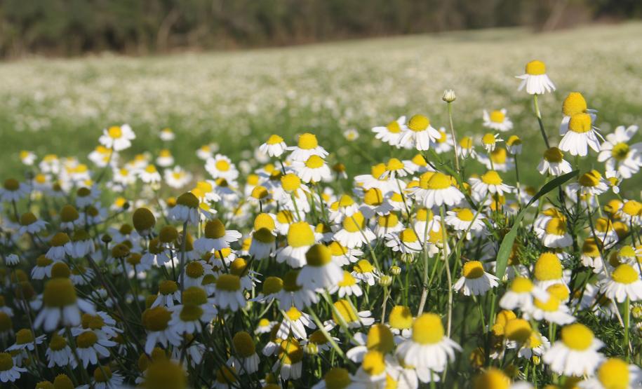 fotos série inverno