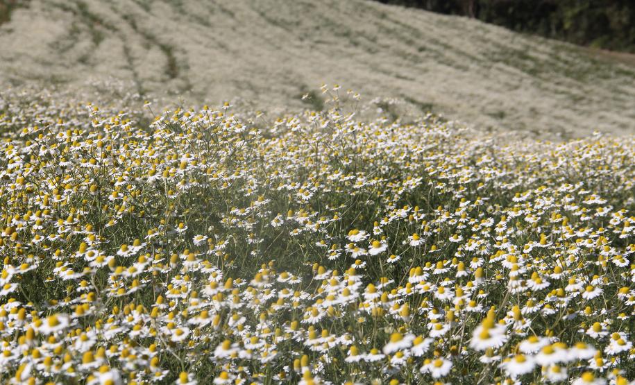 fotos série inverno