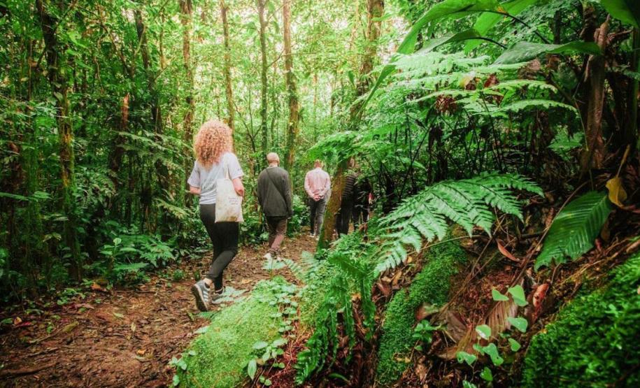 Fotos Nova pesquisa vai identificar preferências dos turistas na Mata Atlântica