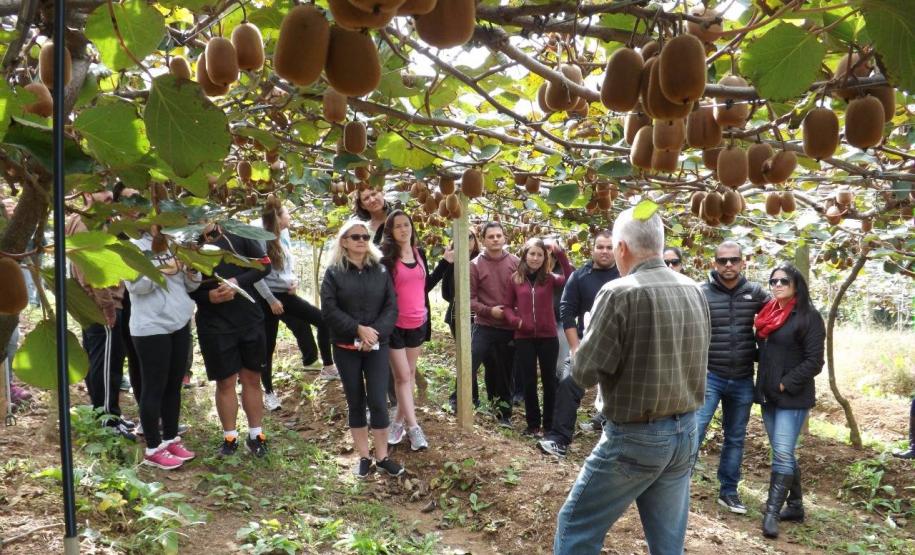 série inverno - purunã