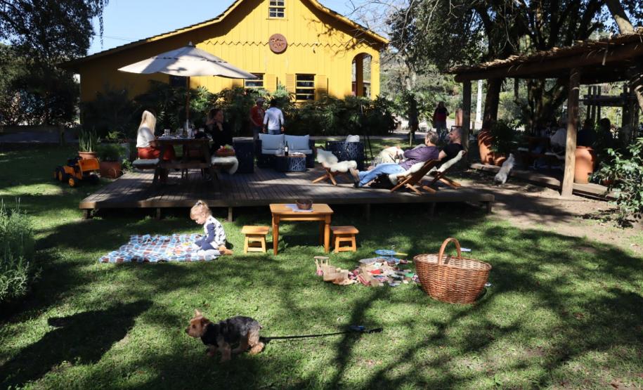 série inverno - purunã