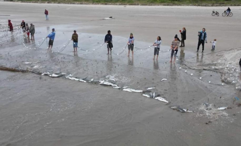 série inverno - gastronomia caiçara