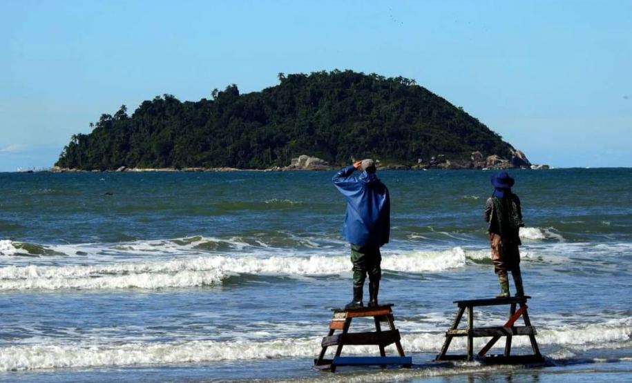 série inverno - gastronomia caiçara