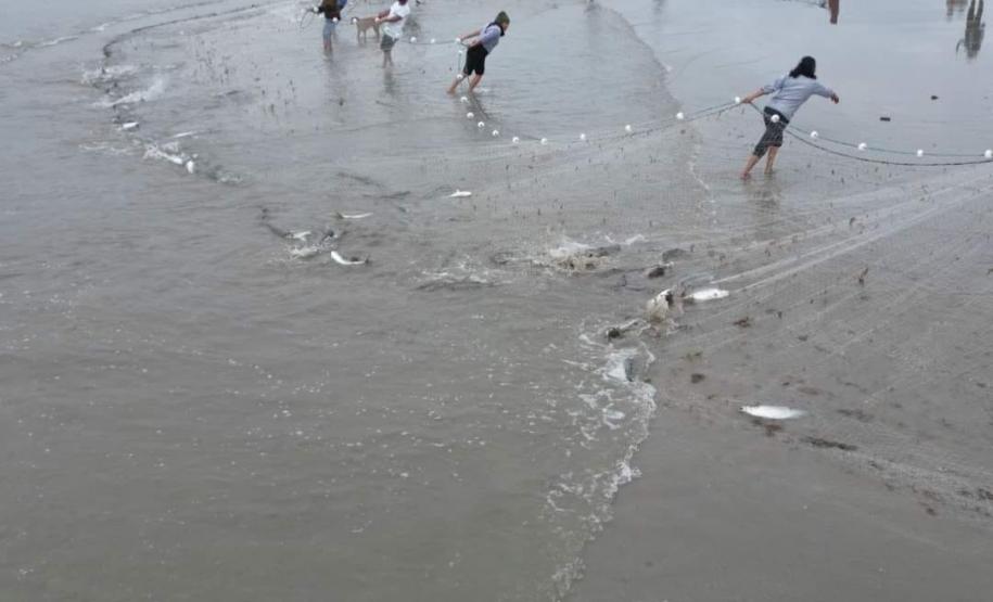 série inverno - gastronomia caiçara