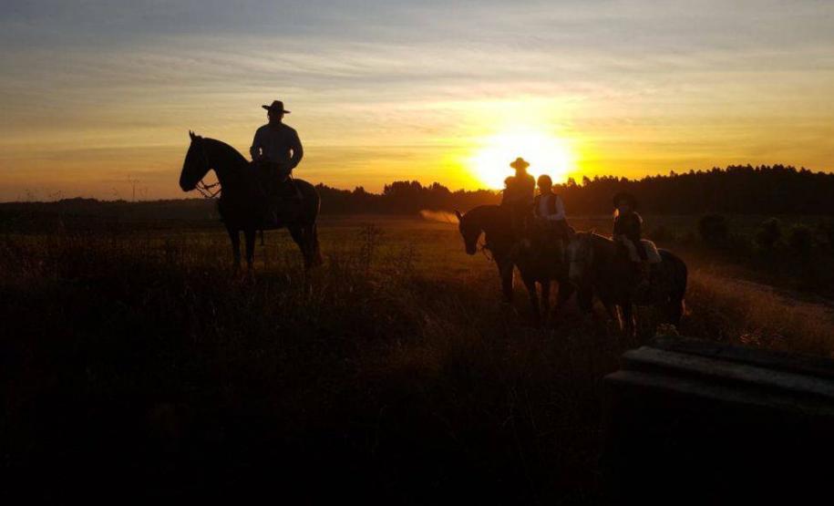 série inverno - purunã