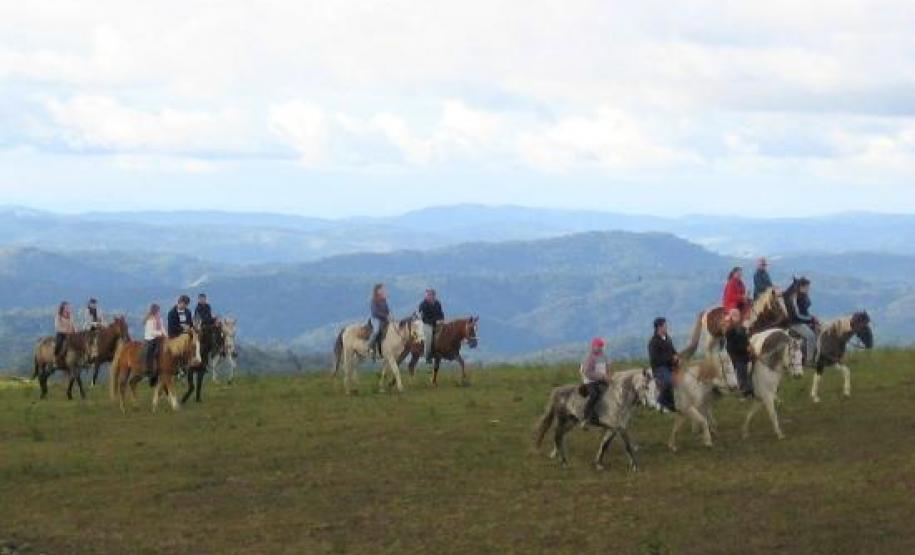 série inverno - purunã