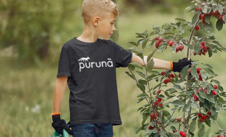 série inverno - purunã