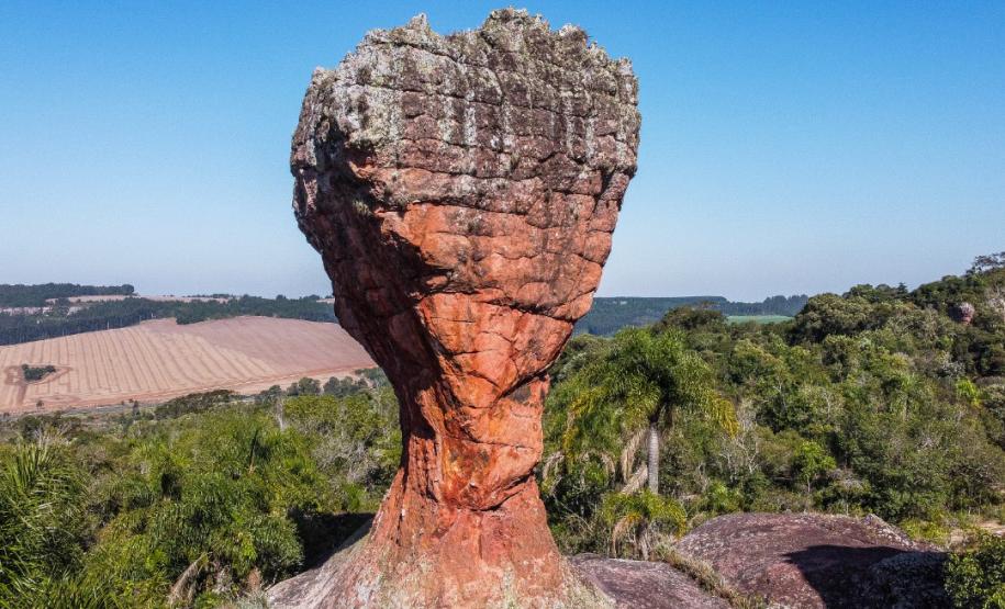 Junho Vermelho: doadores de sangue ganham passeio de tirolesa no Parque de Vila Velha