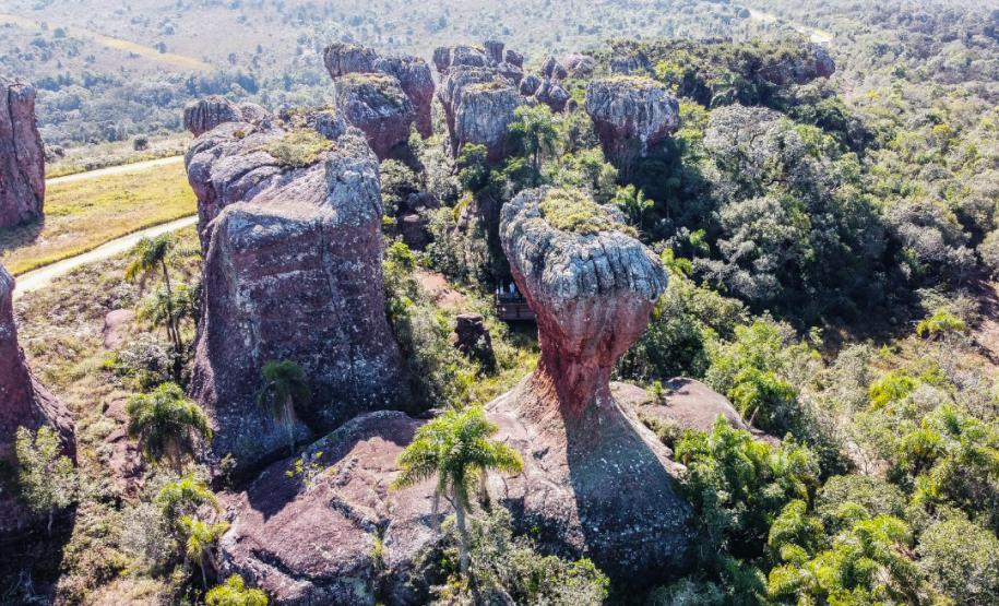 Junho Vermelho: doadores de sangue ganham passeio de tirolesa no Parque de Vila Velha