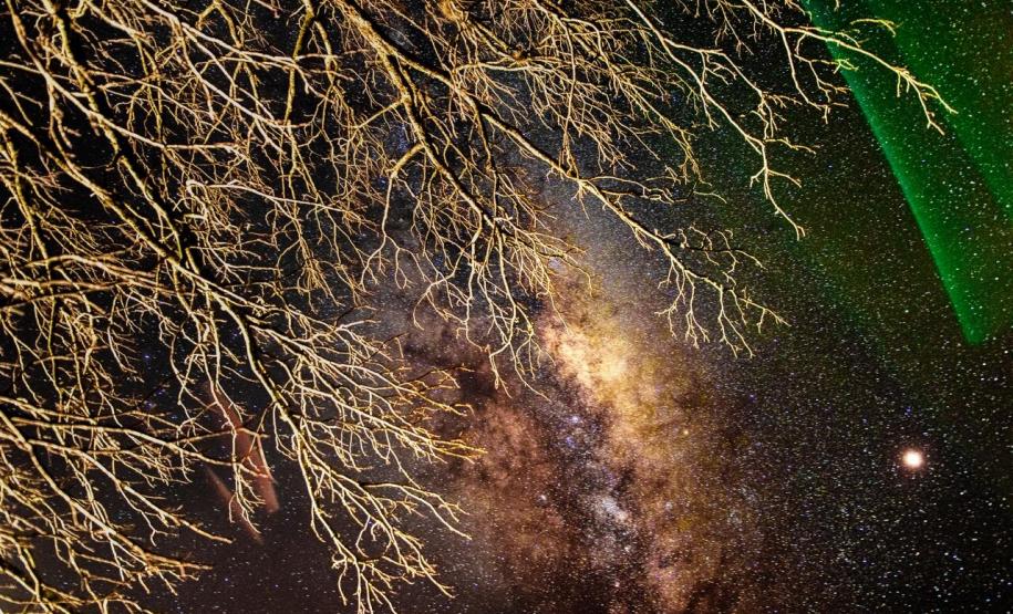 Notícia - Turismo com experiência indígena é atração da Grande Reserva da Mata Atlântica no Paraná