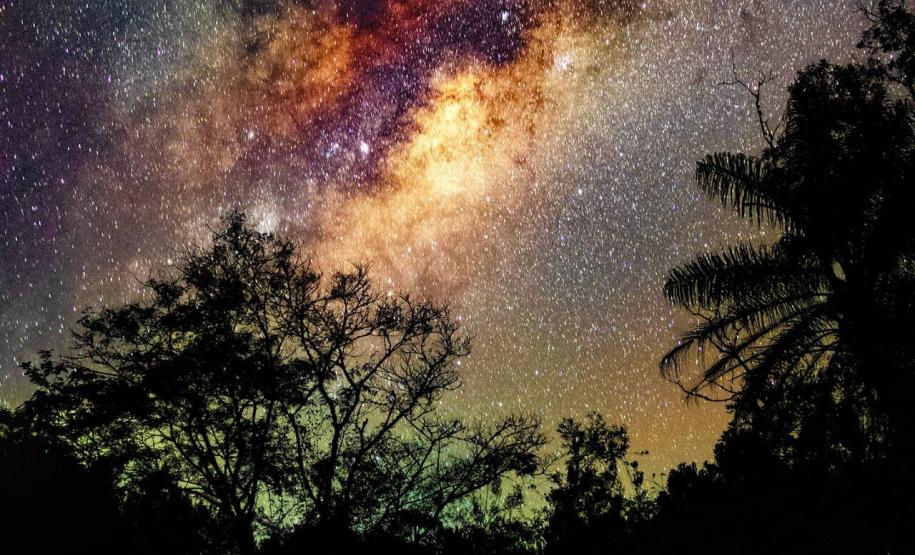 Notícia - Turismo com experiência indígena é atração da Grande Reserva da Mata Atlântica no Paraná