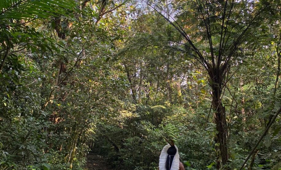 Notícia - Turismo com experiência indígena é atração da Grande Reserva da Mata Atlântica no Paraná