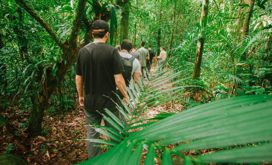 Notícia - Grande Reserva da Mata Atlântica tem atividades especiais no final de semana do Dia dos Pais