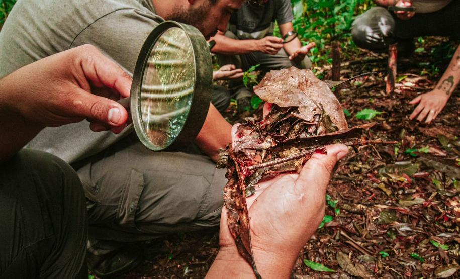 Notícia - Grande Reserva da Mata Atlântica tem atividades especiais no final de semana do Dia dos Pais