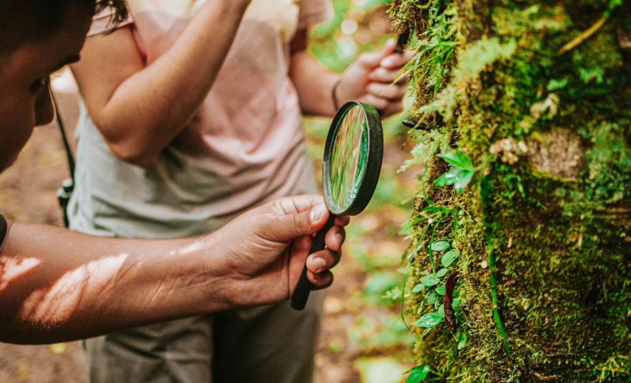 Notícia - Grande Reserva da Mata Atlântica tem atividades especiais no final de semana do Dia dos Pais