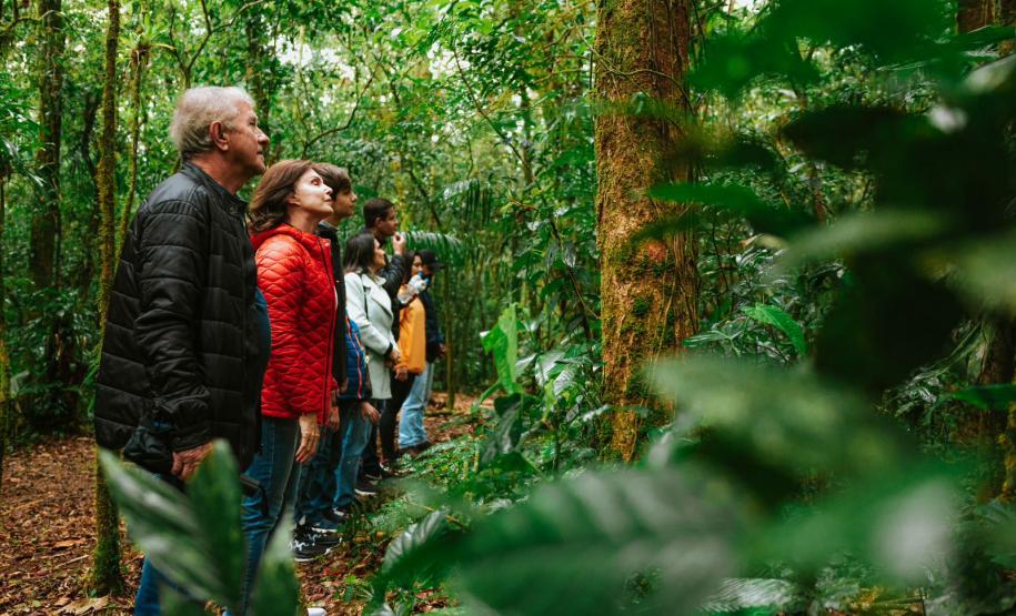 Notícia - Grande Reserva da Mata Atlântica tem atividades especiais no final de semana do Dia dos Pais