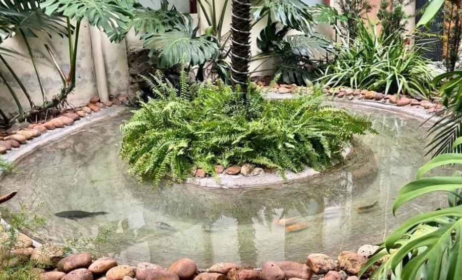 Notícia - Vale dos Dinossauros: Cruzeiro do Oeste recebe título que reforça turismo científico