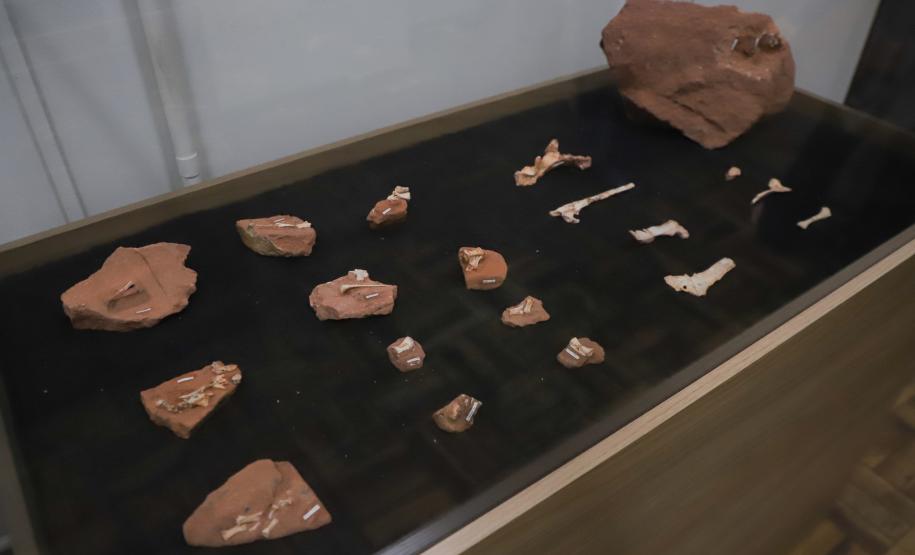 Notícia - Vale dos Dinossauros: Cruzeiro do Oeste recebe título que reforça turismo científico