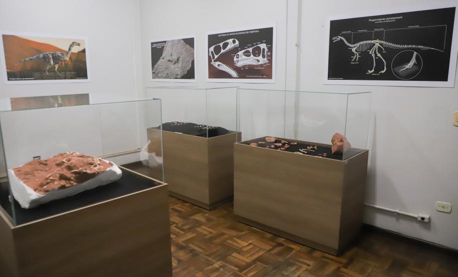 Notícia - Vale dos Dinossauros: Cruzeiro do Oeste recebe título que reforça turismo científico