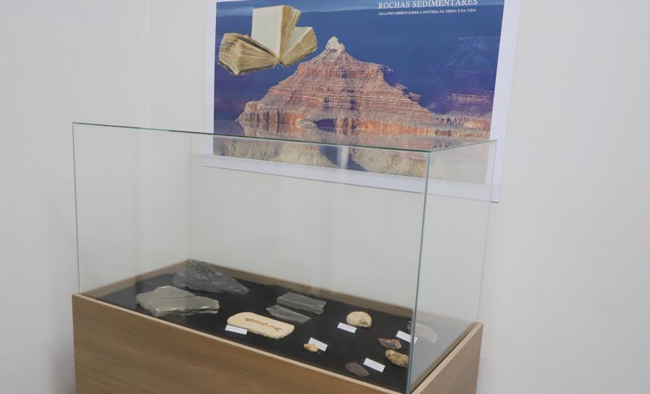 Notícia - Vale dos Dinossauros: Cruzeiro do Oeste recebe título que reforça turismo científico