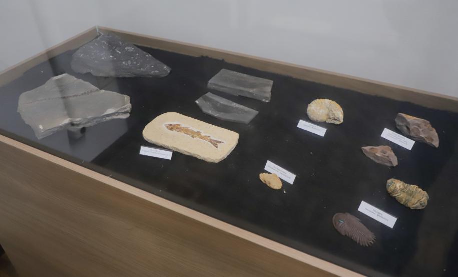 Notícia - Vale dos Dinossauros: Cruzeiro do Oeste recebe título que reforça turismo científico