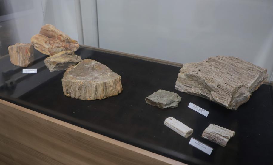 Notícia - Vale dos Dinossauros: Cruzeiro do Oeste recebe título que reforça turismo científico