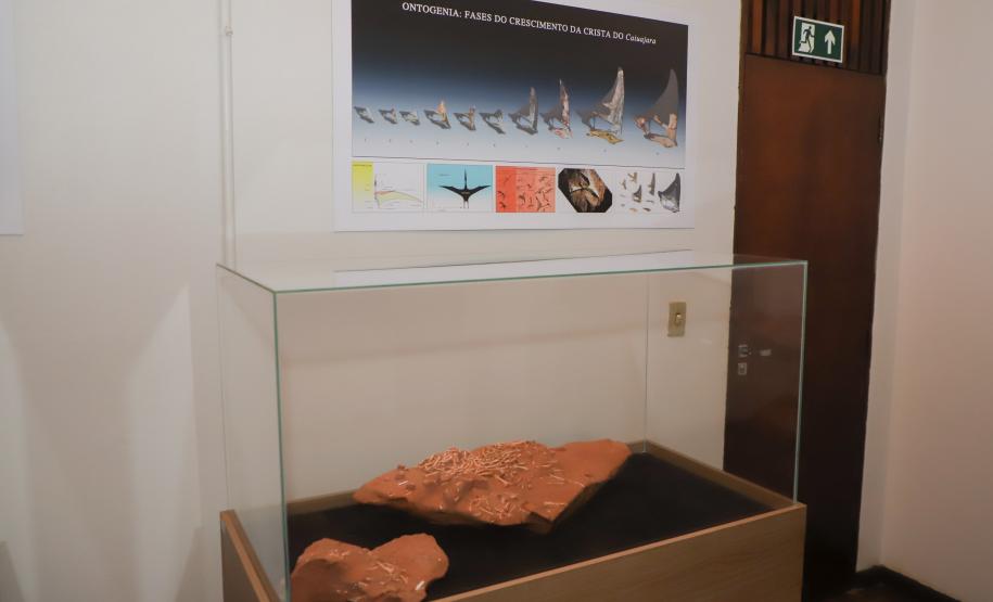 Notícia - Vale dos Dinossauros: Cruzeiro do Oeste recebe título que reforça turismo científico