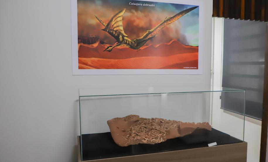 Notícia - Vale dos Dinossauros: Cruzeiro do Oeste recebe título que reforça turismo científico