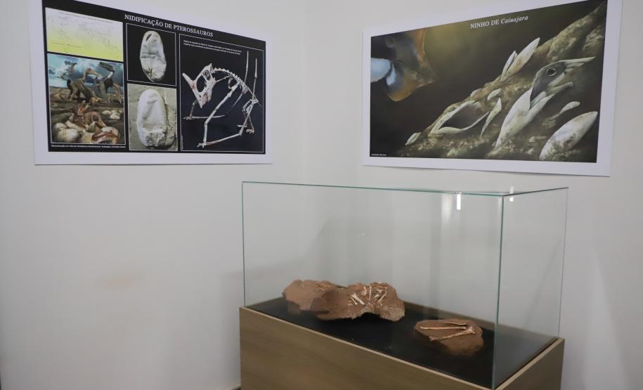 Notícia - Vale dos Dinossauros: Cruzeiro do Oeste recebe título que reforça turismo científico