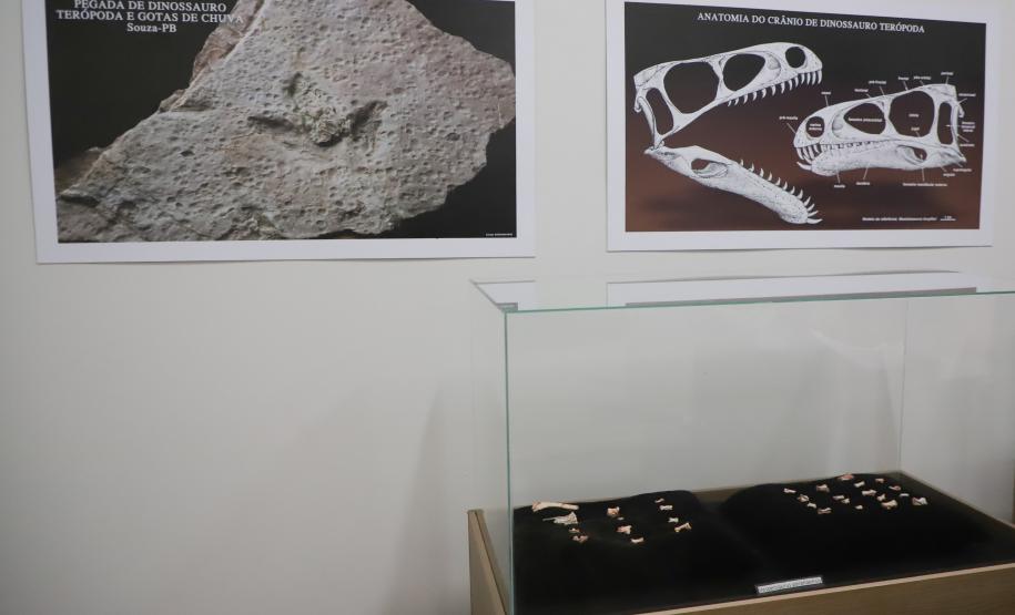 Notícia - Vale dos Dinossauros: Cruzeiro do Oeste recebe título que reforça turismo científico