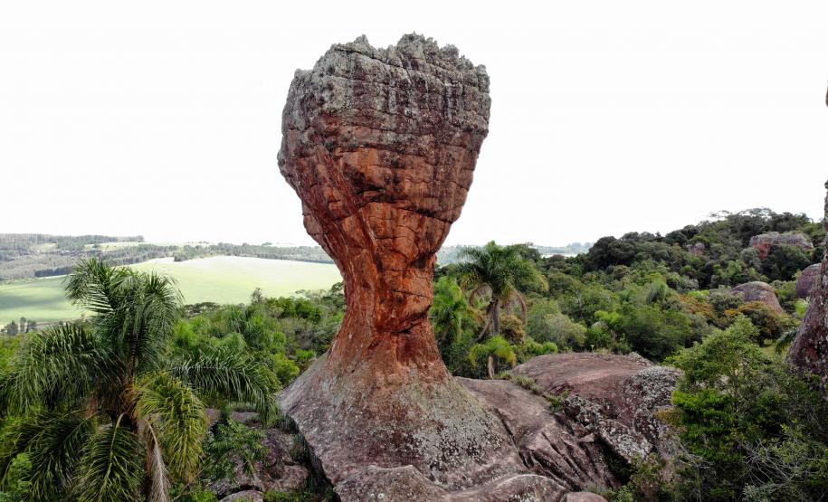 Notícia - Novos investimentos e projetos vão transformar o turismo do Paraná nos próximos anos