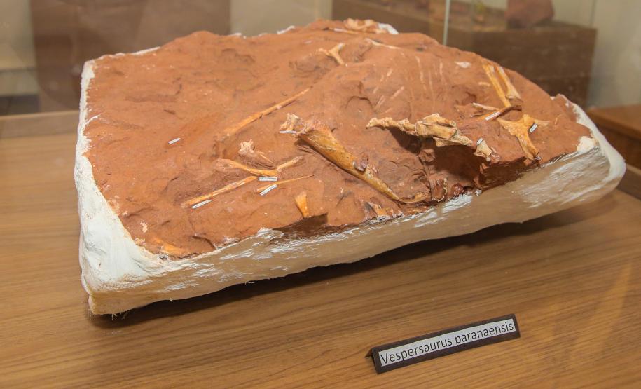 Notícia - Vale dos Dinossauros: Cruzeiro do Oeste recebe título que reforça turismo científico