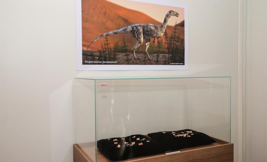 Notícia - Vale dos Dinossauros: Cruzeiro do Oeste recebe título que reforça turismo científico