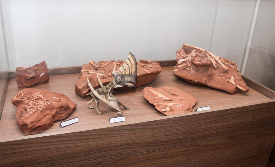 Notícia - Vale dos Dinossauros: Cruzeiro do Oeste recebe título que reforça turismo científico