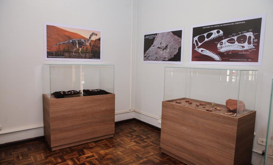 Notícia - Vale dos Dinossauros: Cruzeiro do Oeste recebe título que reforça turismo científico