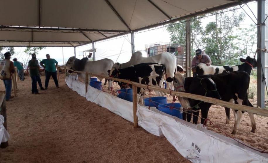 Notícia - Festas religiosas, ecoturismo e feira de inovação: veja o calendário turístico de outubro