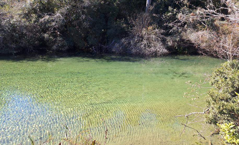 Notícia - Dois parques do Paraná estão entre os dez melhores do Brasil, conforme avaliações de plataforma