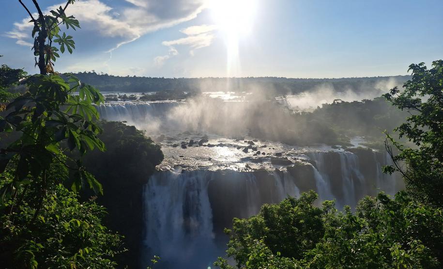 Parque Iguaçu está entre 10 destinos mais pesquisados no Google, mostra site de turismo