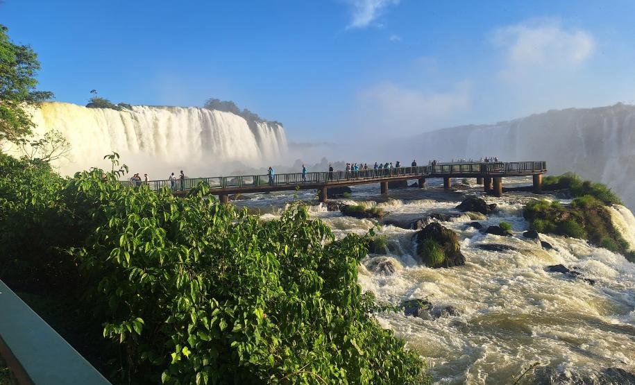 Parque Iguaçu está entre 10 destinos mais pesquisados no Google, mostra site de turismo