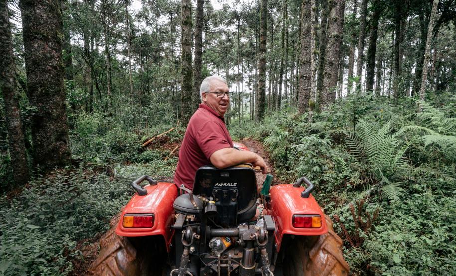 Capital do Vinho do Paraná, Bituruna é destaque em roteiro nacional de enoturismo