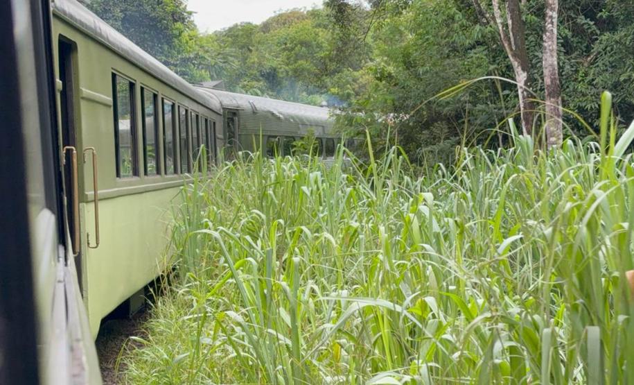 Estrada de Ferro Paranaguá-Curitiba celebra 140 anos de história, desenvolvimento e turismo