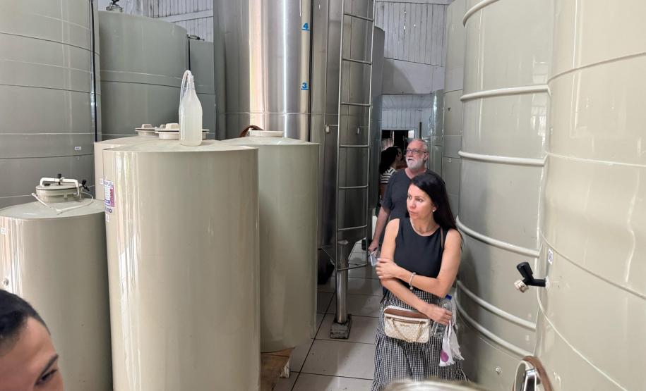 Capital do Vinho do Paraná, Bituruna é destaque em roteiro nacional de enoturismo