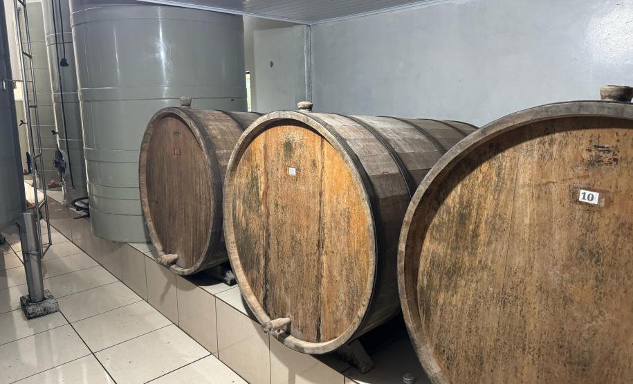 Capital do Vinho do Paraná, Bituruna é destaque em roteiro nacional de enoturismo